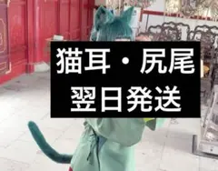 Item thumbnail for item 374b2567-2be3-46ae-8e76-16bc18d01dff