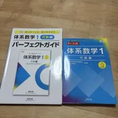 体系数学1 代数編　パーフェクトガイド&チャート式演習問題セット