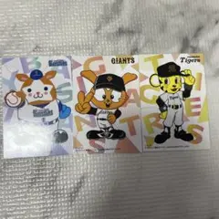 プロ野球チップス2025 第1弾　チェックリストカード　3枚セット