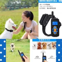 ❤ペットの安全第一に作られ安心安全に躾けられる♪❤ペット☆トレーニング