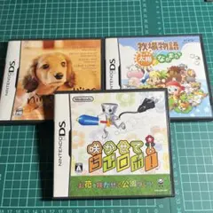 DSのセット