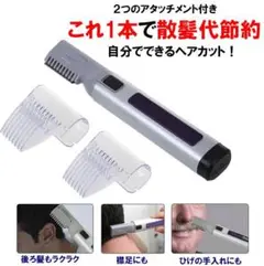 Item thumbnail for item 568a41ca-6dee-4a4b-a5aa-54bf05c09b47