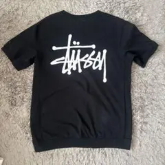 Stüssy ストゥシー ブラック Tシャツ