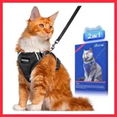 Item thumbnail for item 53ca671f-0e63-4418-8231-8a3f4077c505