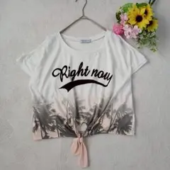 【ブラウニーBROWNY】半袖　プリントTシャツ　肌見せ　肩開き　Fサイズ