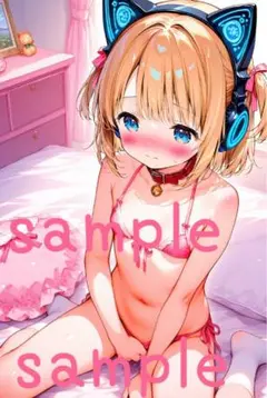 ☆646写真　ブロマイド　カード　2次元　アニメイラスト　美少女　水着　下着☆