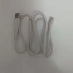 ホワイト USB-Lightningケーブル 約1メートル