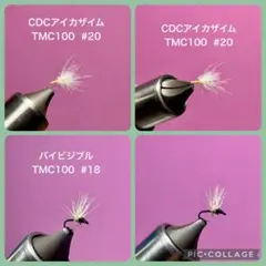 Item thumbnail for item 3c75efc3-a95e-41e4-9124-43655d90abc3