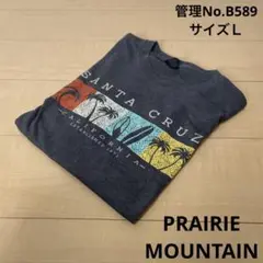 メンズ　USA古着　片面プリント　Tシャツ ダークグレー　サイズＬ
