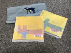 Item thumbnail for item 4646f7f0-61aa-4614-87c8-229356f486da