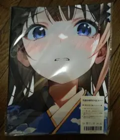 ときのそら ホロライブ シークレット 抱き枕カバー 98×48cm