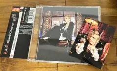 初回生産限定　Acid Black Cherry 黒猫