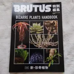 セール！ 洋書『ベネズエラの山岳植物、アンデスとテプイ、ブロメリア』植物図鑑 2025年最新】ブロメリア図鑑の人気アイテム - メルカリ