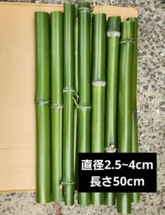 真竹 夏休み 自由研究 50cm 12本 天然青竹 工作素材 農薬不使用