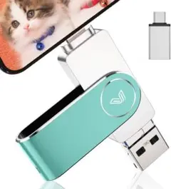 Item thumbnail for item 39f3c226-42ca-4ab7-a2a6-e1495c404ea6