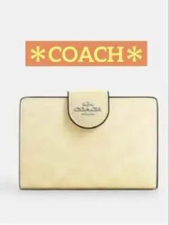 Item thumbnail for item 446c703e-2bc1-4374-b856-dc1c6aebd0e9