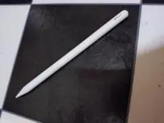 Apple Pencil ホワイト　ジャンク