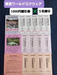v東武ワールドスクウェア ご優待 割引券5枚