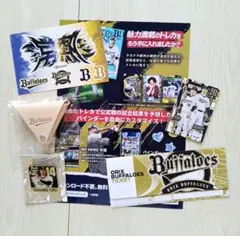 オリックス・ ヌメ革コインケース ・ピンバッチ宇田川／オマケ付き