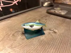 ユージン　原色海水魚図鑑Ⅱ　ブリ