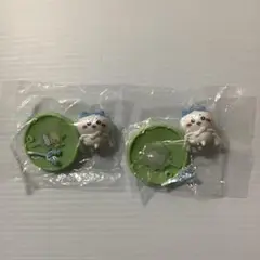 【ハチワレ】　チョコサプ　ちいかわ