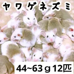 Item thumbnail for item 4f417d36-27c6-4df8-bef4-f8e16e9f15a8