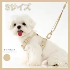 首輪リードセット 小型犬 Sサイズ おしゃれ 韓国 カーキ お洒落