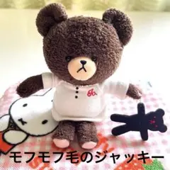 くまのがっこう ジャッキー モフモフの毛 オーソドックスなお人形持ってます