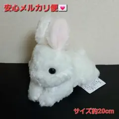 ネザーランドドワーフ タイトー限定 うさぎ ウサギ ぬいぐるみ ⑥