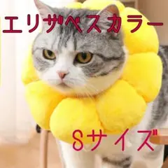 Item thumbnail for item b2430f22-b356-43ea-af83-4fdb8dd71f43