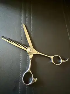 Item thumbnail for item 783ac7b1-8bef-4a22-ae14-c5654e2c95d4