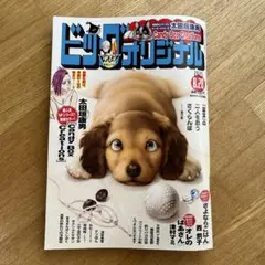 ビッグコミックオリジナル 2025.8.20号