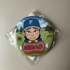 北海道日本ハムファイターズ 浅間大基 缶バッジ
