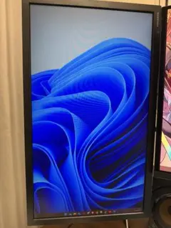 IO DATA EX207 20.7インチ モニター 本体