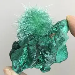 珍品 マラカイト 孔雀石 緑色 結晶 73.7g 53mm 鉱物標本