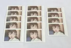毛利蘭 ぱしゃこれ