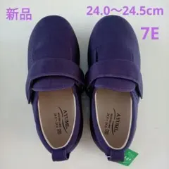Item thumbnail for item ce66270e-cb5f-4242-ba99-4faa7dcfa9dc