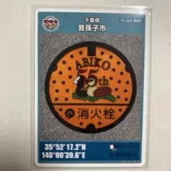 第26弾千葉県我孫子市のマンホールカードです。