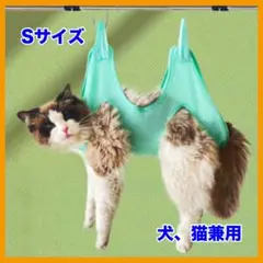 Item thumbnail for item d65e65d3-19fc-4cf8-9d9b-41e094572bfb
