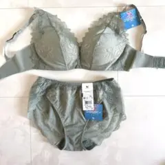 ☆ワコール GOCOCI ゴコチ Ｌ・Ｌ☆