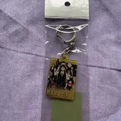 ONE PIECE FILM GOLD 黄金遊園地からの脱出 キーホルダー