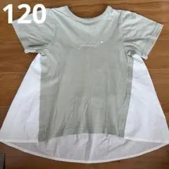 グリーンとホワイトのTシャツ 120