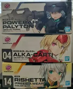30MSまとめ売り② パワラリーほか 30MS SIS-Ac65n パワラリー=パリトン(グラーヴェフォーム)【2次