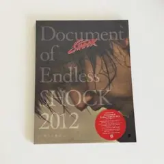 Document of Endless SHOCK 2012 パンフレットDVD