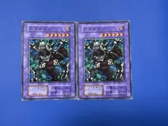 スケルゴン 2枚セット