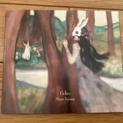 飯島真理　Echo