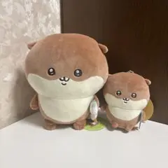 ナガノ カワウソぬいぐるみくじ