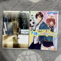 小説3冊
