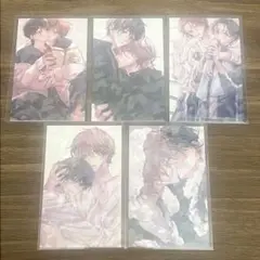 三上志乃 先生 ピットスポルム ホログラムカード 全種 コンプリート コンプ