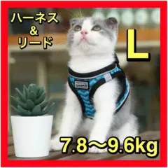 Item thumbnail for item ba332baa-0f60-4e52-b0b1-c238658181d2